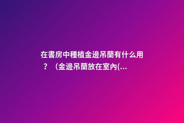 在書房中種植金邊吊蘭有什么用？（金邊吊蘭放在室內(nèi)好嗎）